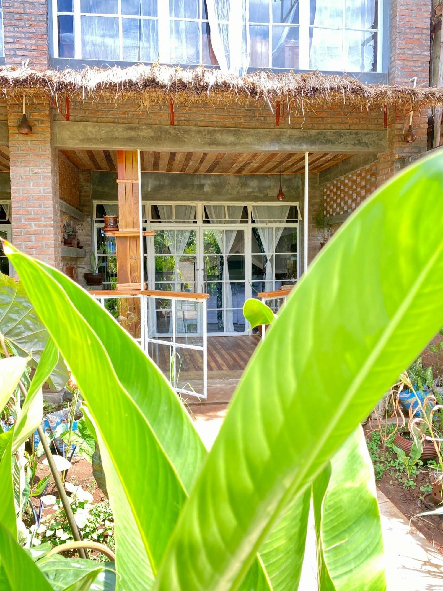 Mount Kilimanjaro 360 View Cottage Uru Extérieur photo