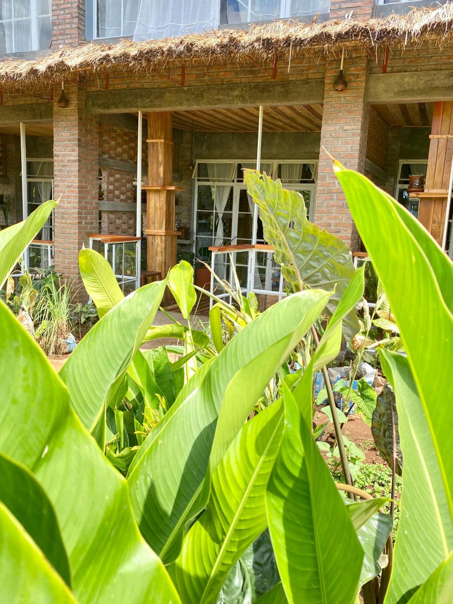 Mount Kilimanjaro 360 View Cottage Uru Extérieur photo