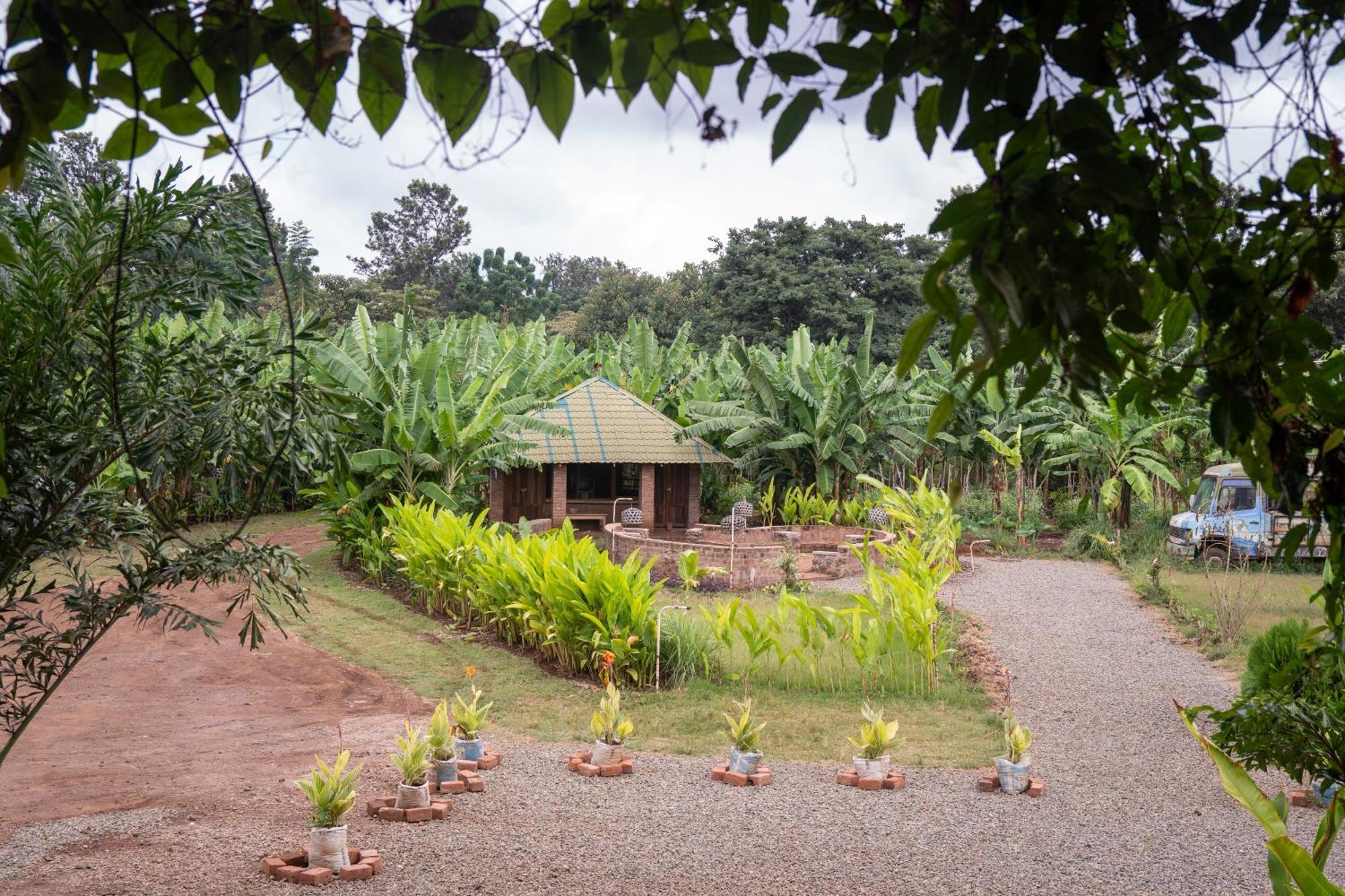 Mount Kilimanjaro 360 View Cottage Uru Extérieur photo