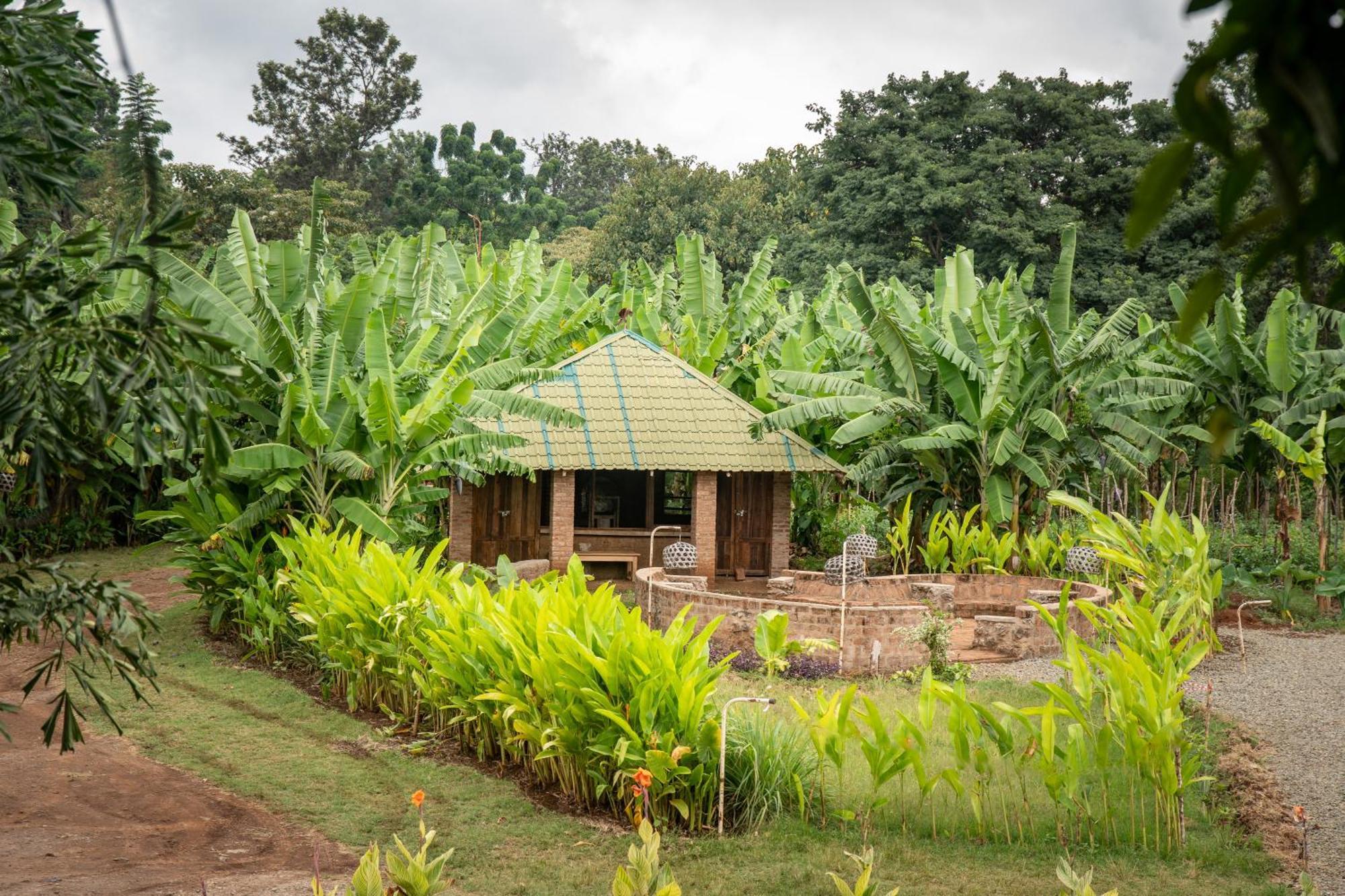 Mount Kilimanjaro 360 View Cottage Uru Extérieur photo