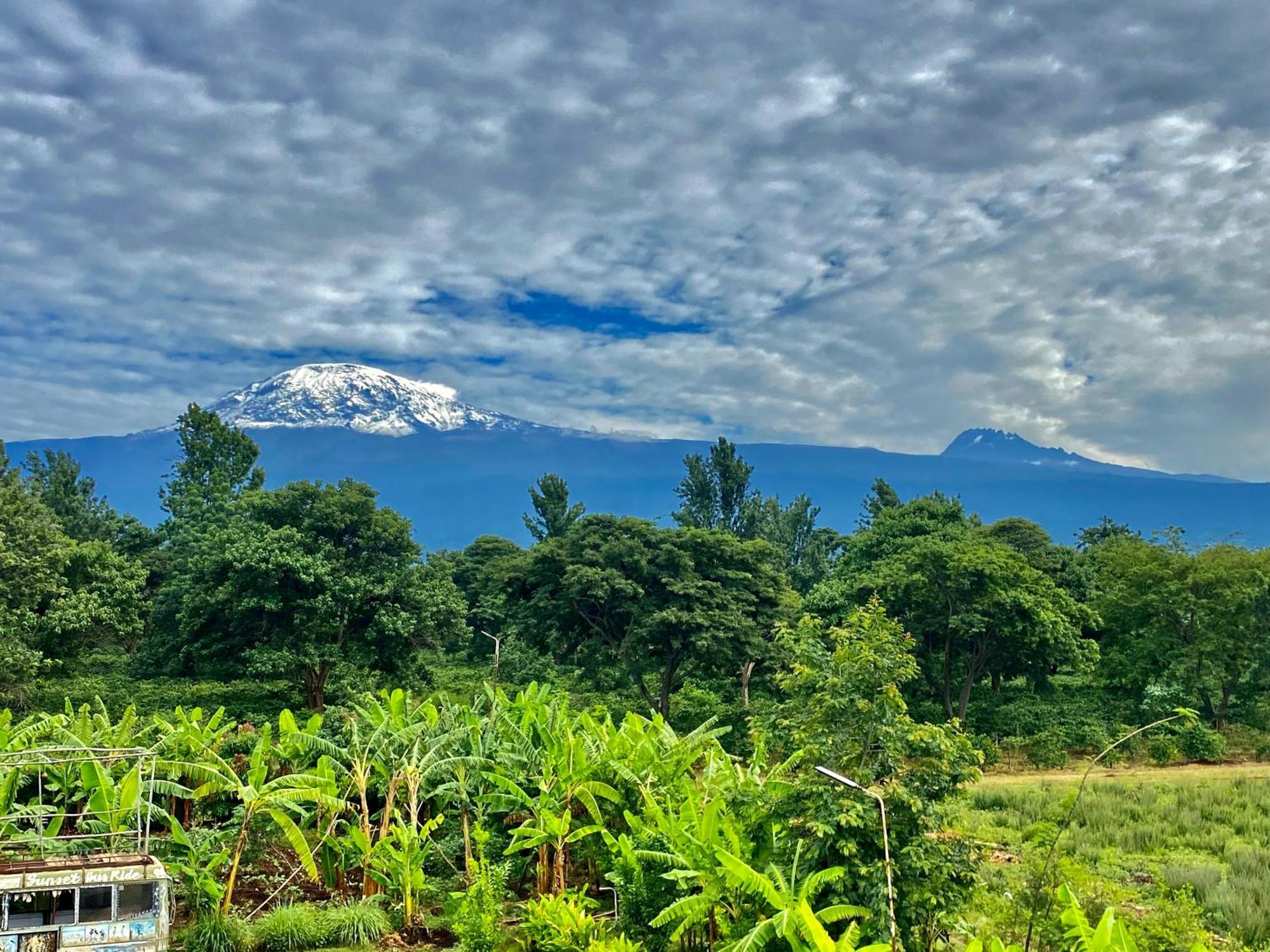 Mount Kilimanjaro 360 View Cottage Uru Extérieur photo
